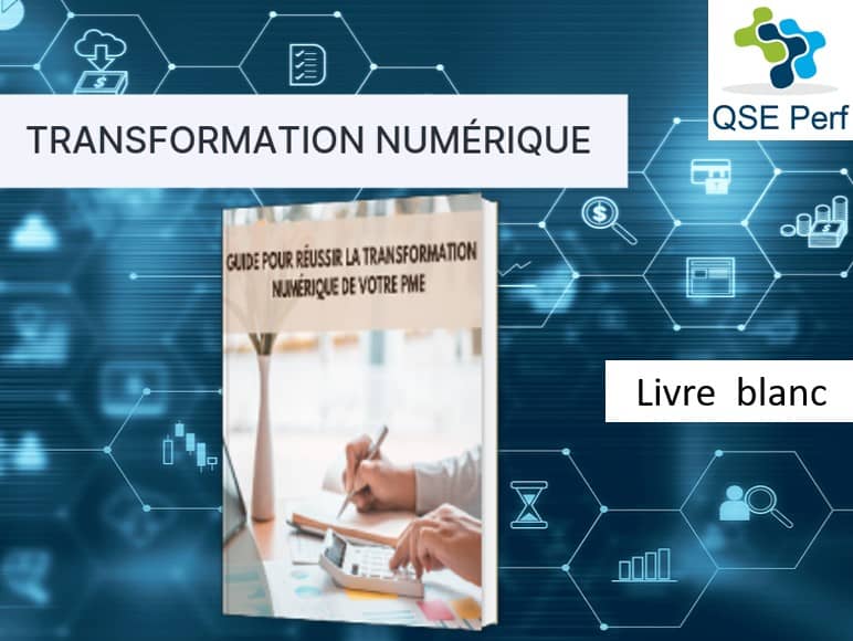 QSE Perf - Livre blanc - Guide de la transformation numérique des PME