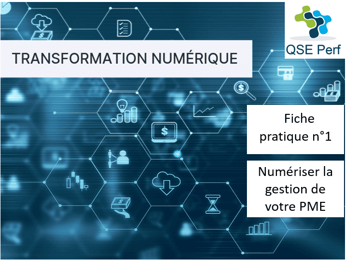 QSE Perf - Transformation numérique - Fiche pratique 1