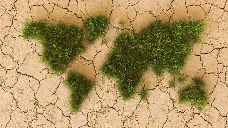 Une illustration du management environnemental dans le monde