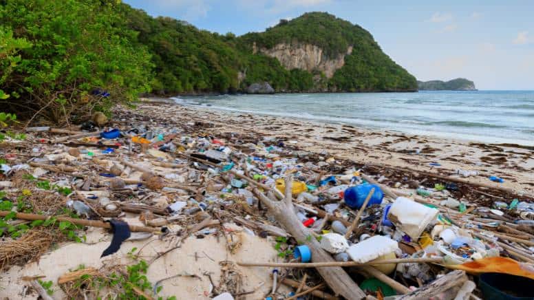 Une plage polluée à cause des activités humaines sur l'environnement