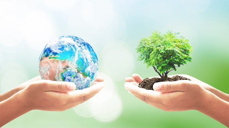 Une illustration de la protection de l'environnement