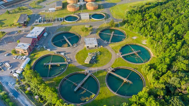 Une entreprise respectueuse de l'environnement après une formation ISO 14001