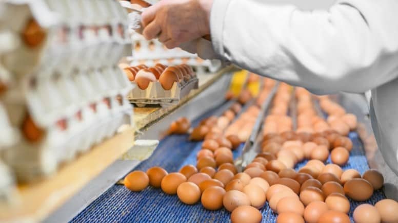 Une usine avec une bonne efficacité opérationnelle grâce au PDCA
