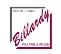 Logo Billardy